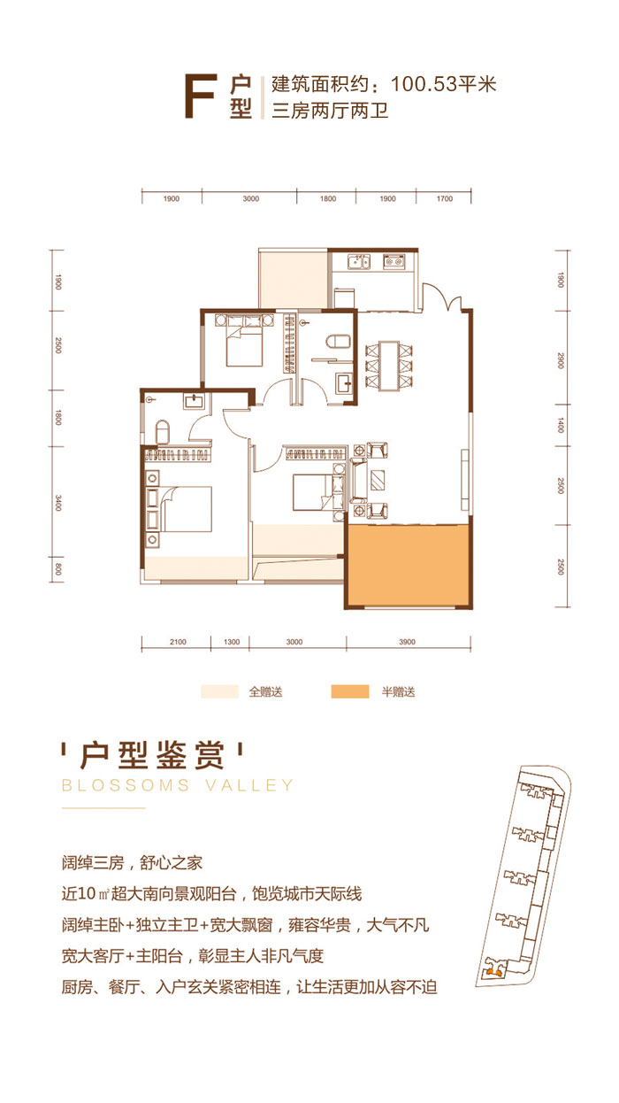 常德朝阳时光F户型