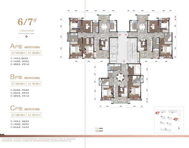 安仁天心佳园6栋7栋B户型