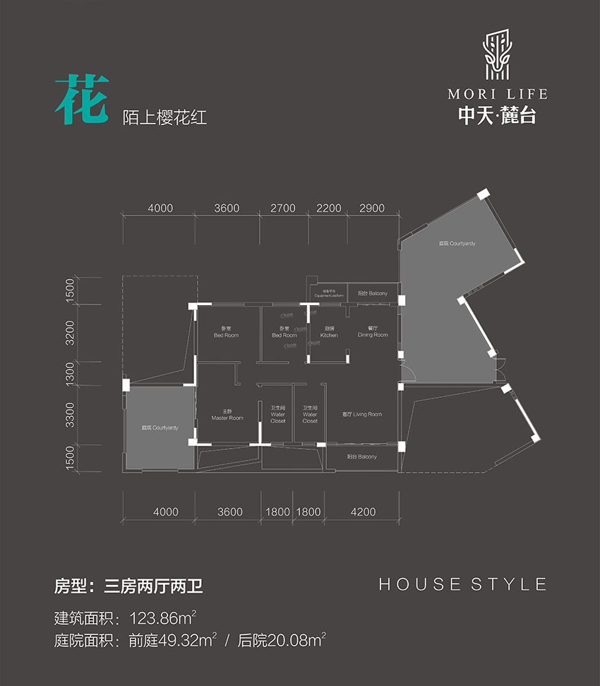 株洲中天麓台花