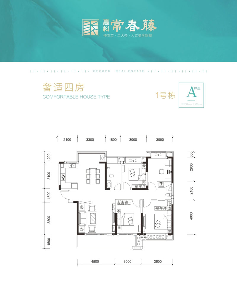 株洲高科常春藤A户型