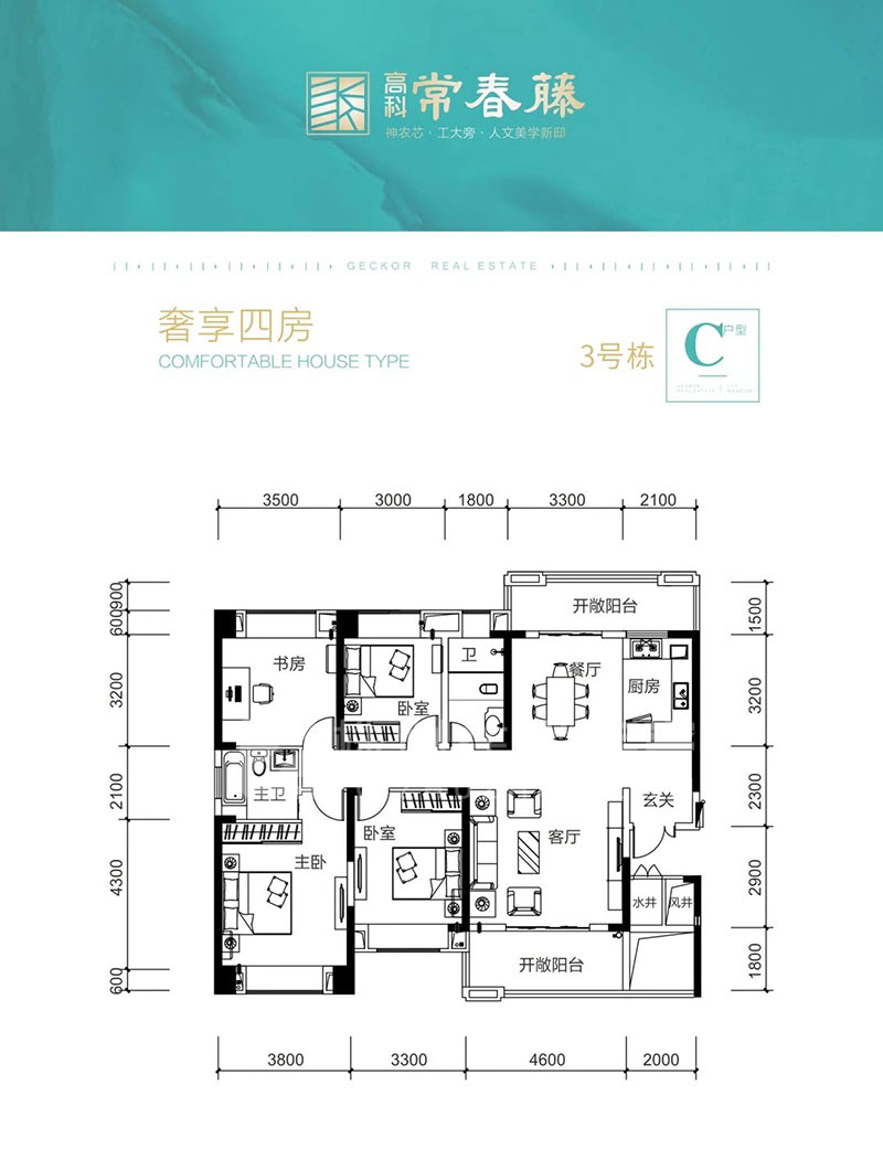 株洲高科常春藤C户型