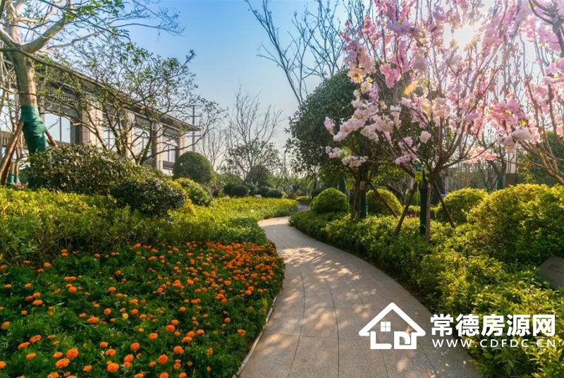 汉寿金科集美郡实景图